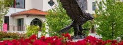 Photo of Bronze Red Hawk Statue in Spring