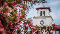 photo of 大学 Hall bell tower in background with pink flowering tree blurred in the foreground
