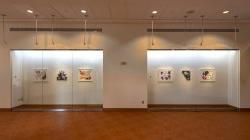 Installation view of the exhibition Case Studies 1: Damien Davis - OLD CURRIENCIES in the Kasser Theater Lobby. Various works are displayed in glass cases.