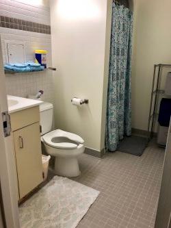 乡村公寓的浴室，有水槽，隔间淋浴和厕所.