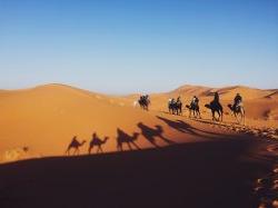 Students touring desert on camel