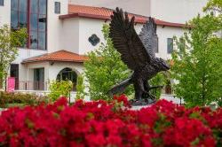 Photo of Red Hawk Statue.