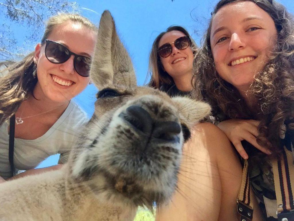 Students pose with wallaby in Australia